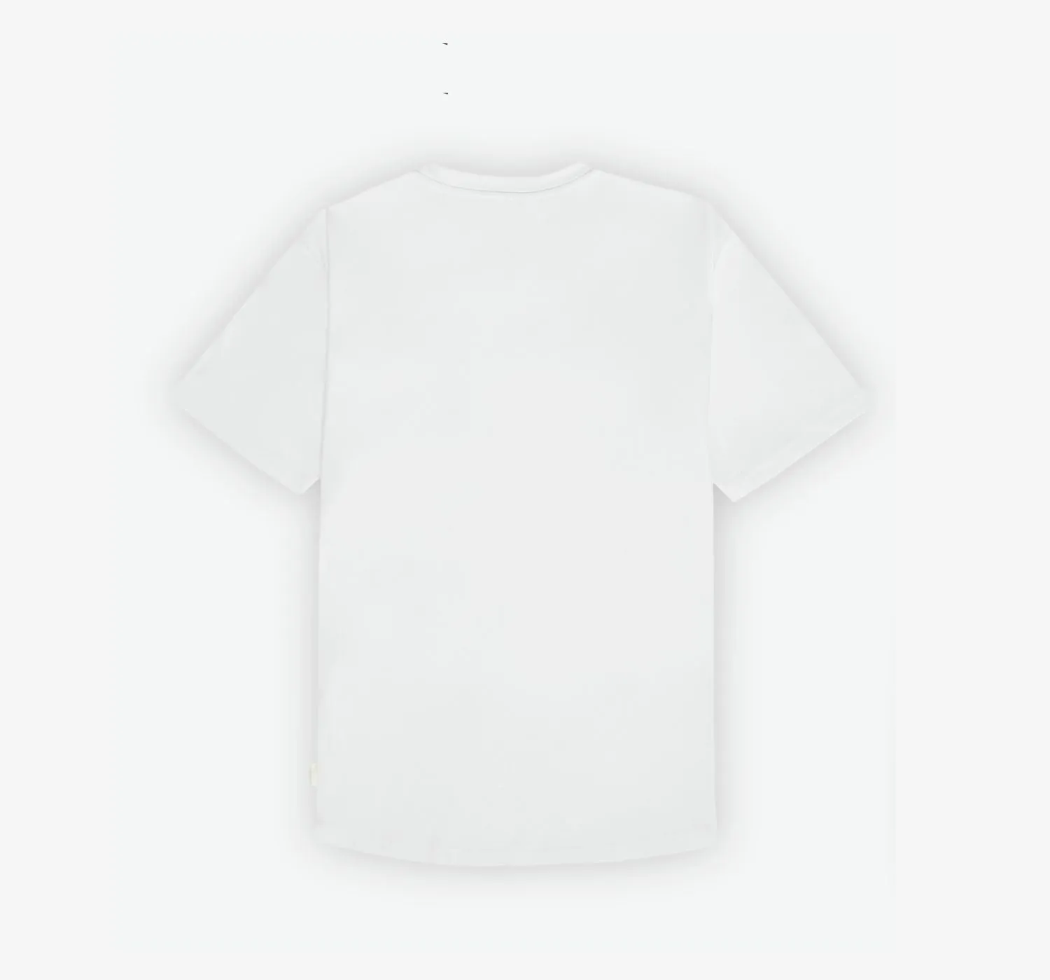 Curved Hem Tee | White